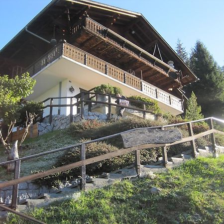 Chalet Erica Apartment Jaun Ngoại thất bức ảnh